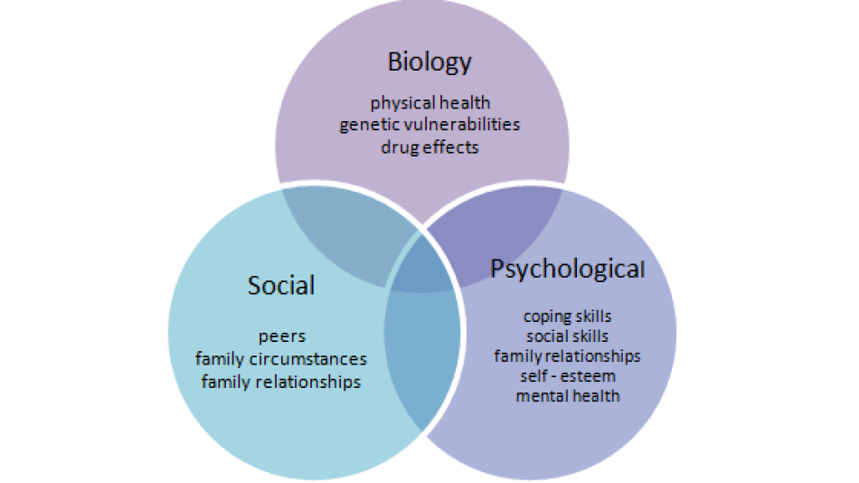 The Biopsychosocial Approach